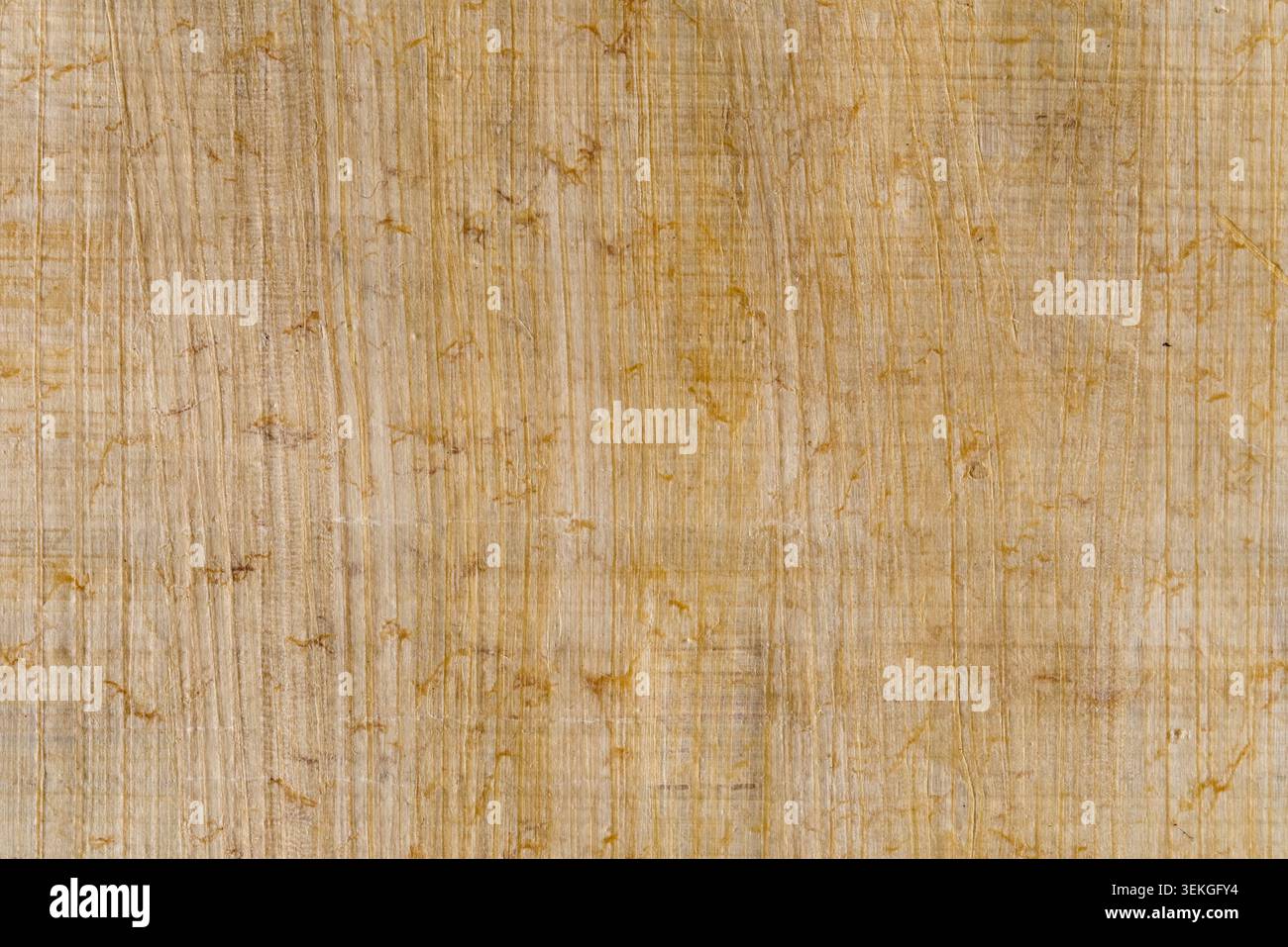 Texture traditionnelle de papier papyrus fait à la main avec des fibres organiques dorées Banque D'Images