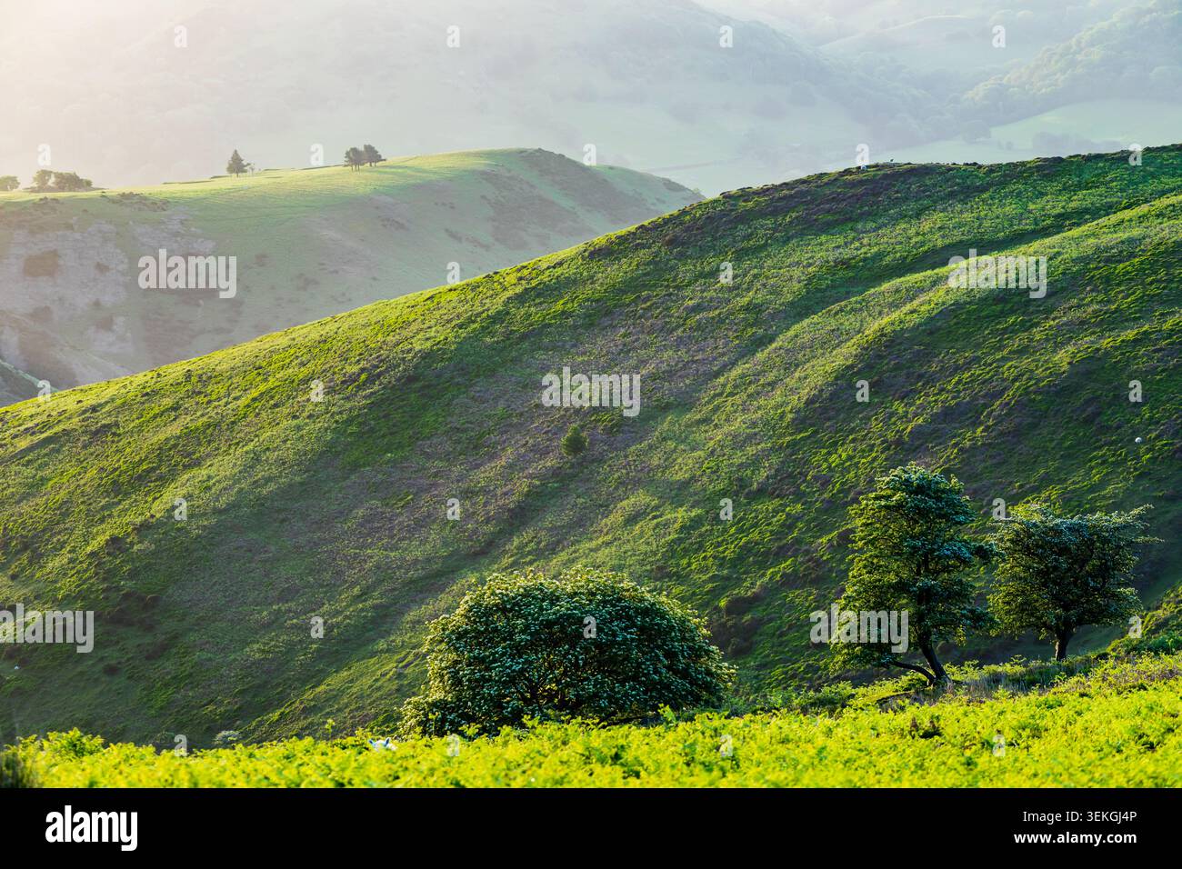 Matin de printemps sur les collines du Shropshire près de Church Stretton. Banque D'Images