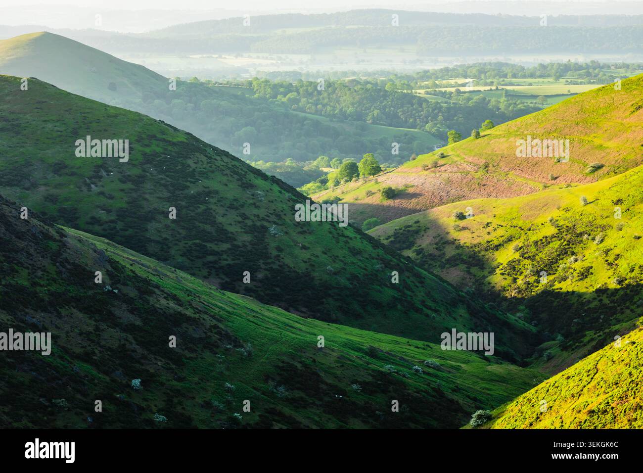 Une vallée sur les collines du Shropshire près de Church Stretton. Banque D'Images