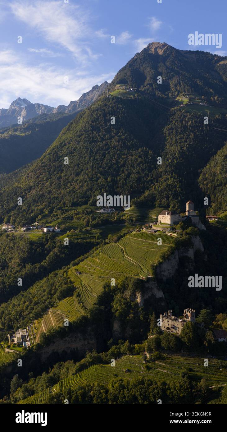 tyrol du Sud créant un magnifique paysage de vignobles alpins Banque D'Images