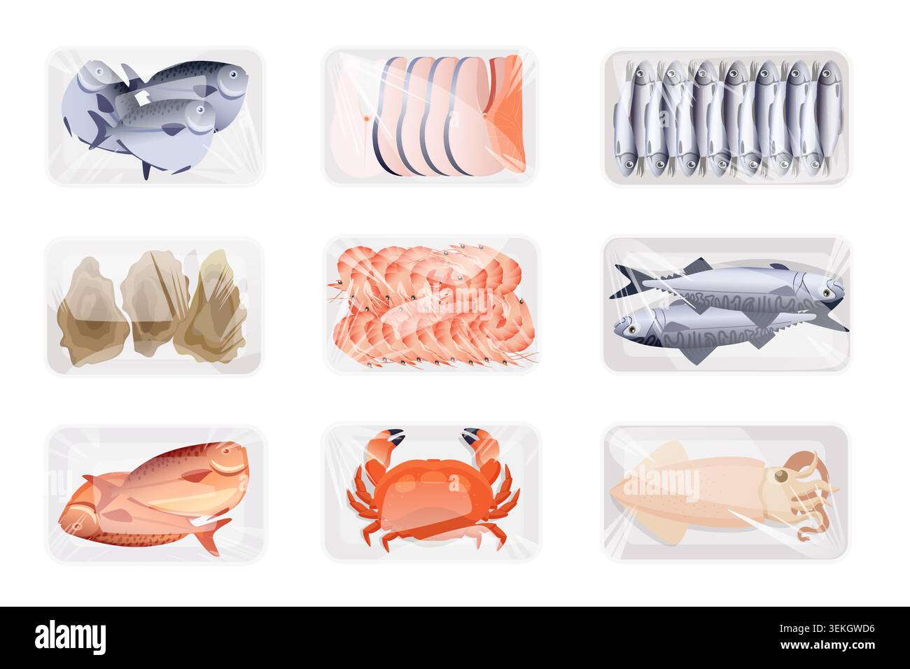 Ensemble de fruits de mer crus emballés avec filets de poisson, sardines, huîtres, crevettes, thon, crabe et calmar disposés dans des plateaux en plastique, isolés sur fond blanc illustration vectorielle Illustration de Vecteur