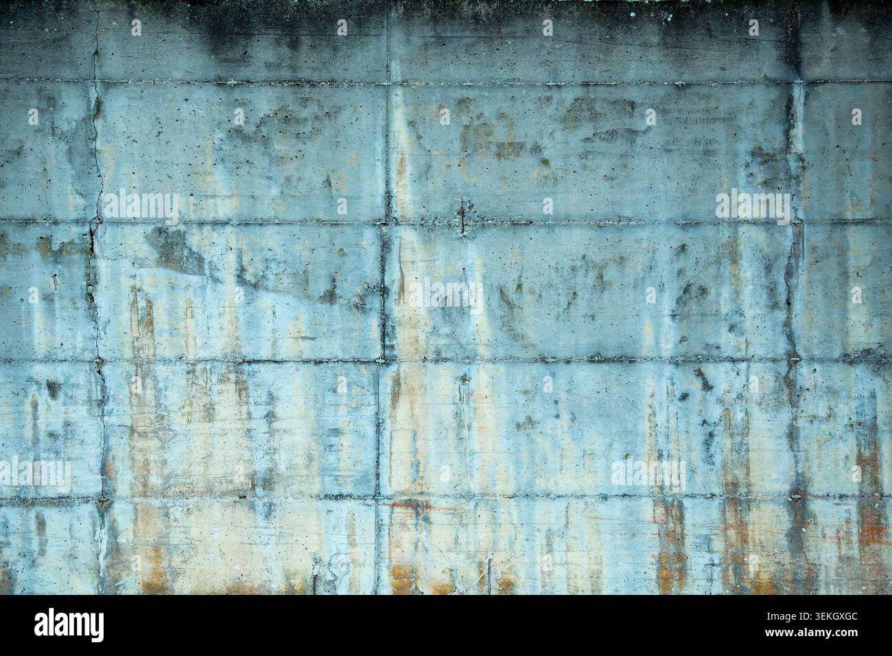Cette photographie extérieure en gros plan professionnelle capture la texture détaillée et altérée d'un mur en béton solide. La caméra se concentre directement sur la surface industrielle révélant des fissures profondes Banque D'Images
