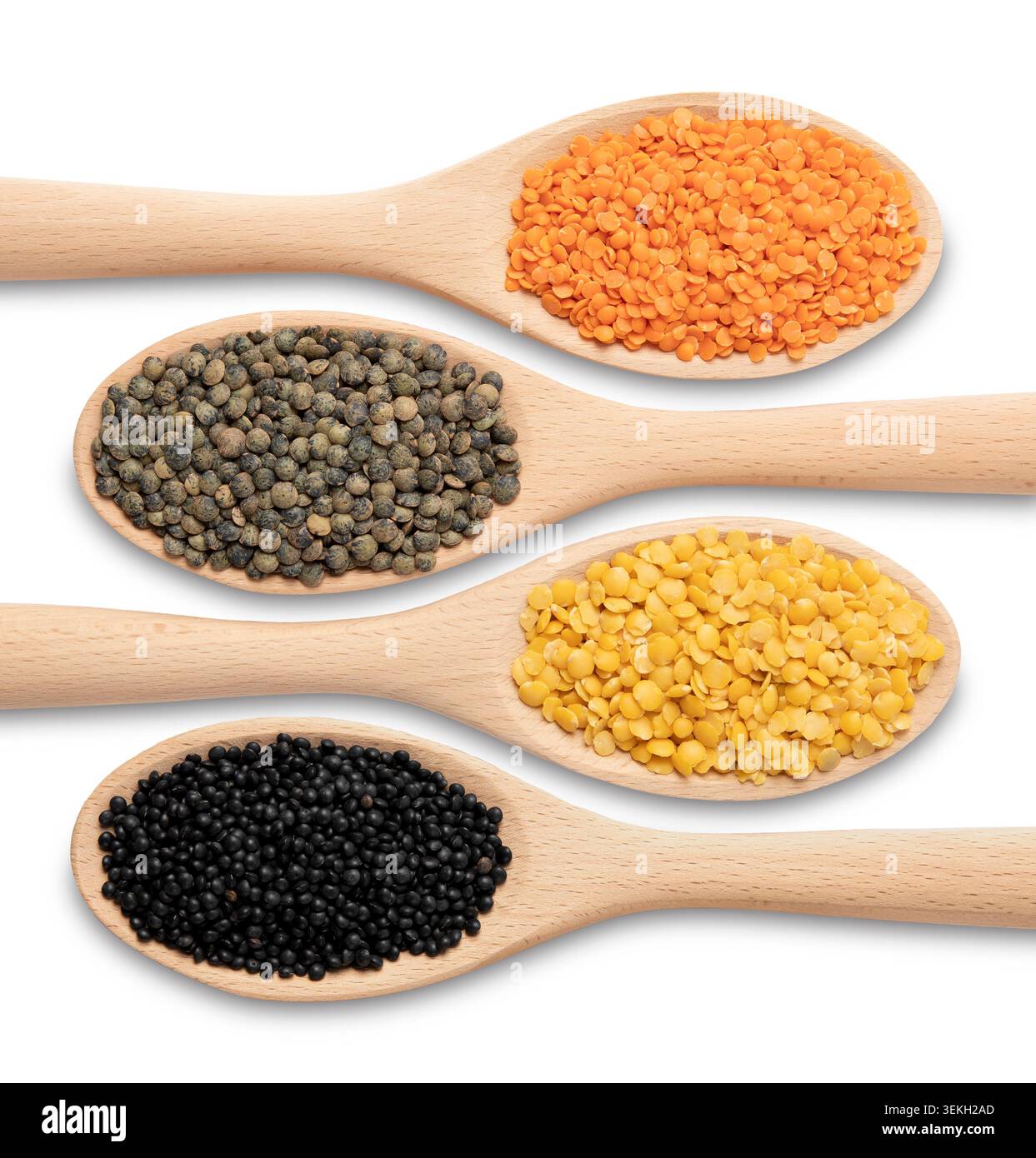 Lentilles assorties dans des cuillères en bois isolées sur fond blanc avec des variétés rouges, vertes, jaunes et noires disposées en rangée. Banque D'Images