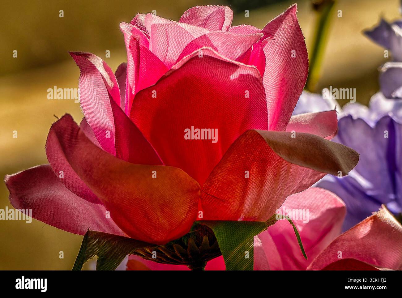 Une vue rapprochée d'une fleur d'intérieur artificielle Banque D'Images