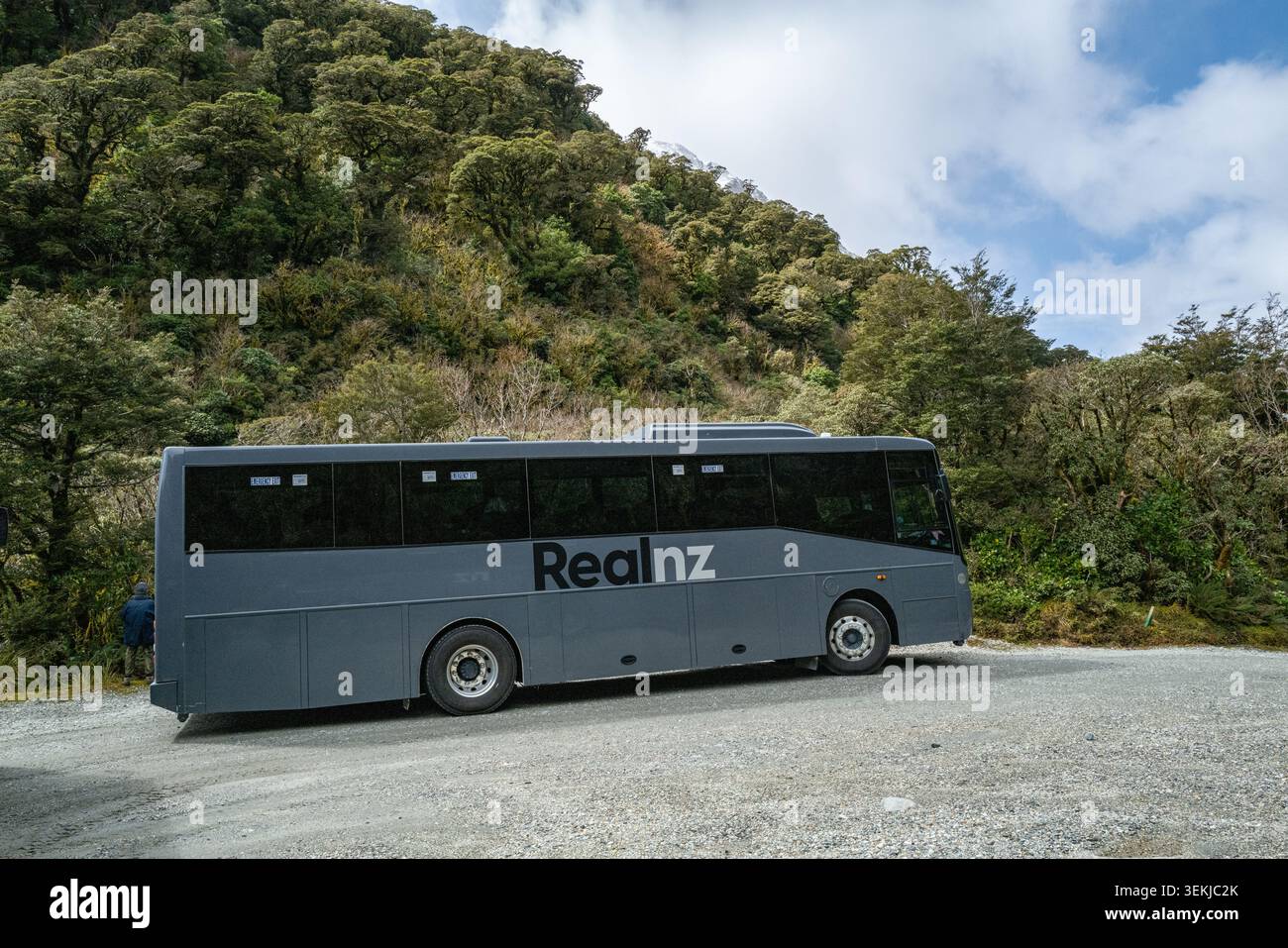 Un bus RealNZ gris stationné à un point de vue en bordure de route de gravier entouré d'une forêt indigène luxuriante lors du voyage pittoresque par voie terrestre vers Doubtful Sound. Banque D'Images