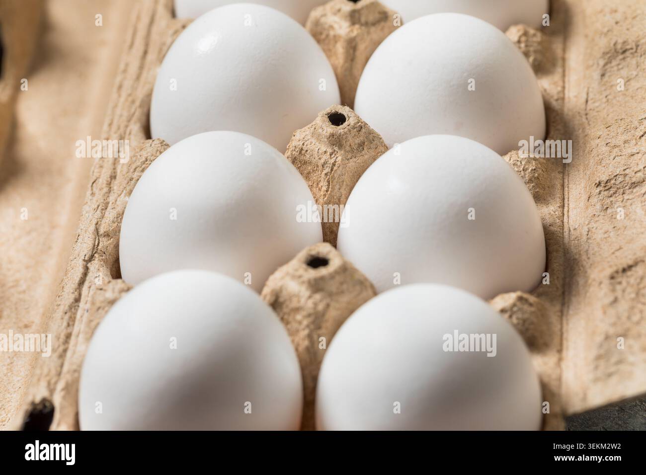 Oeufs de poulet blanc fermier bio dans un carton Banque D'Images