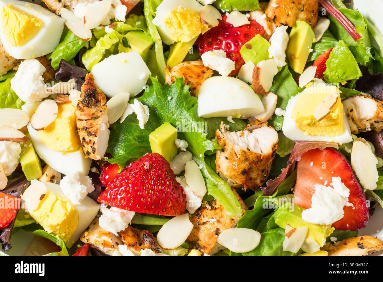 Salade de poulet et de fraises bio d'été avec oeuf et romaine Banque D'Images