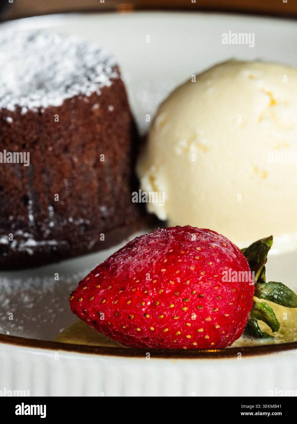 Gâteau au chocolat riche saupoudré de sucre en poudre. Crème glacée veloutée à la vanille à côté du gâteau. Fraise fraîche avec tige verte repose au premier plan. Servi Banque D'Images