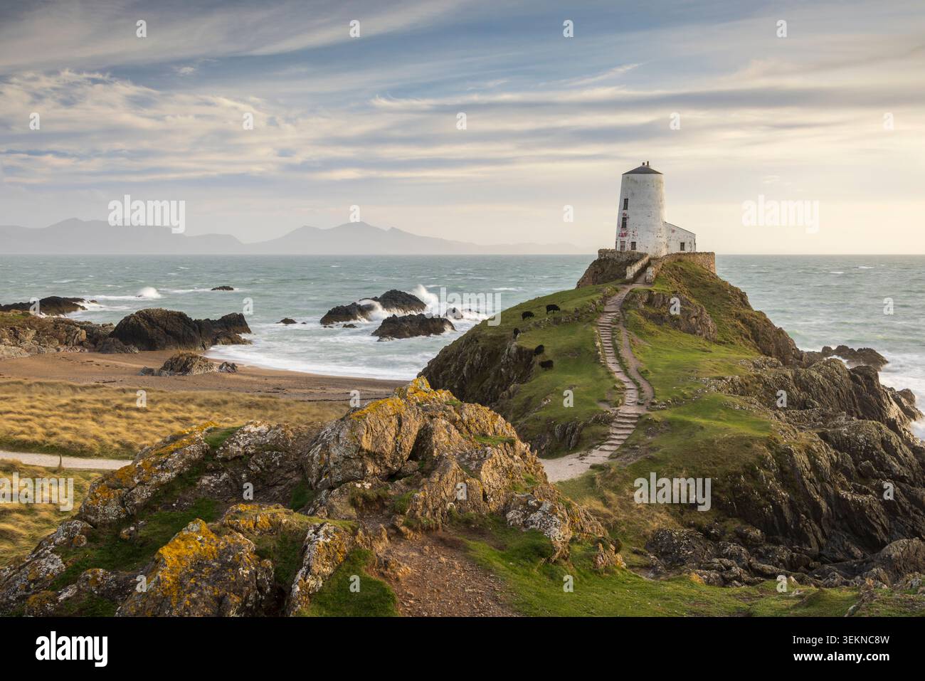 Tŵr phare de Mawr sur l'île de Llanddwyn, Anglesey, Nord du pays de Galles, Royaume-Uni. Printemps (mars) 2026. Banque D'Images