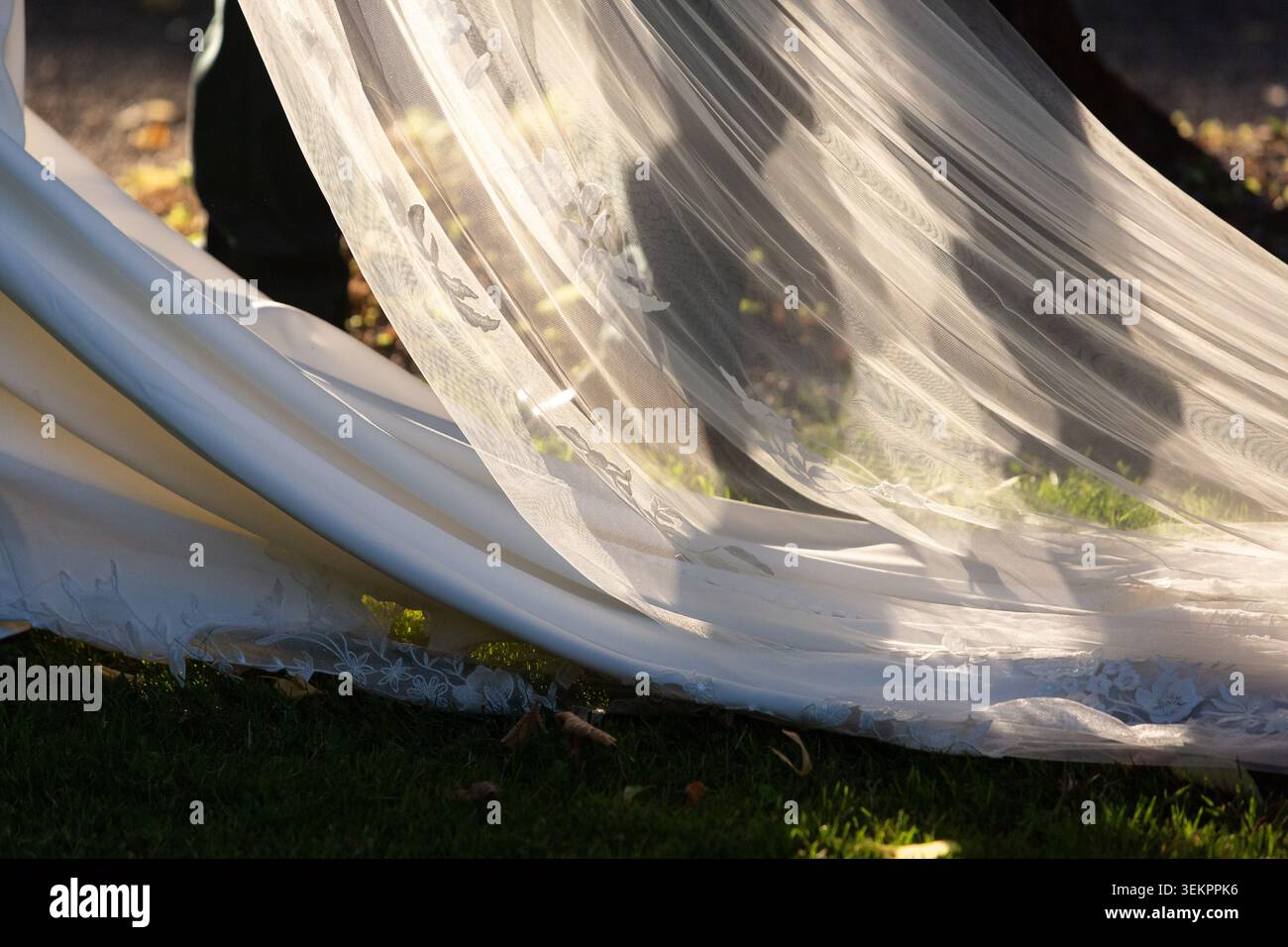 Robe de mariée blanche et voile transparent attrapant la lumière du soleil sur la pelouse verte, symbolisant l'élégance Banque D'Images