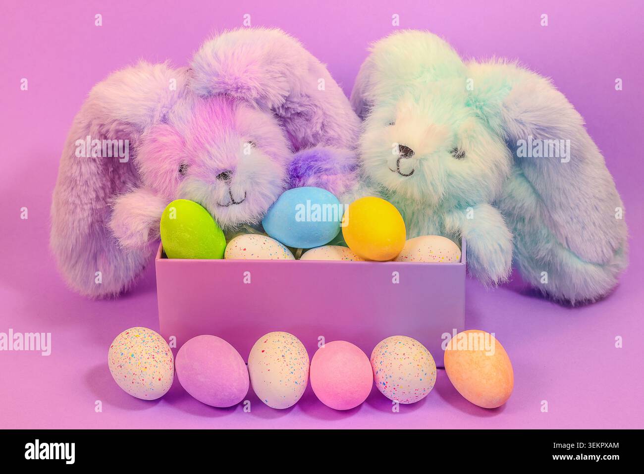 Lapins mignons et moelleux assis dans une boîte violette entourée d'œufs de Pâques colorés vibrants sur un fond violet Banque D'Images