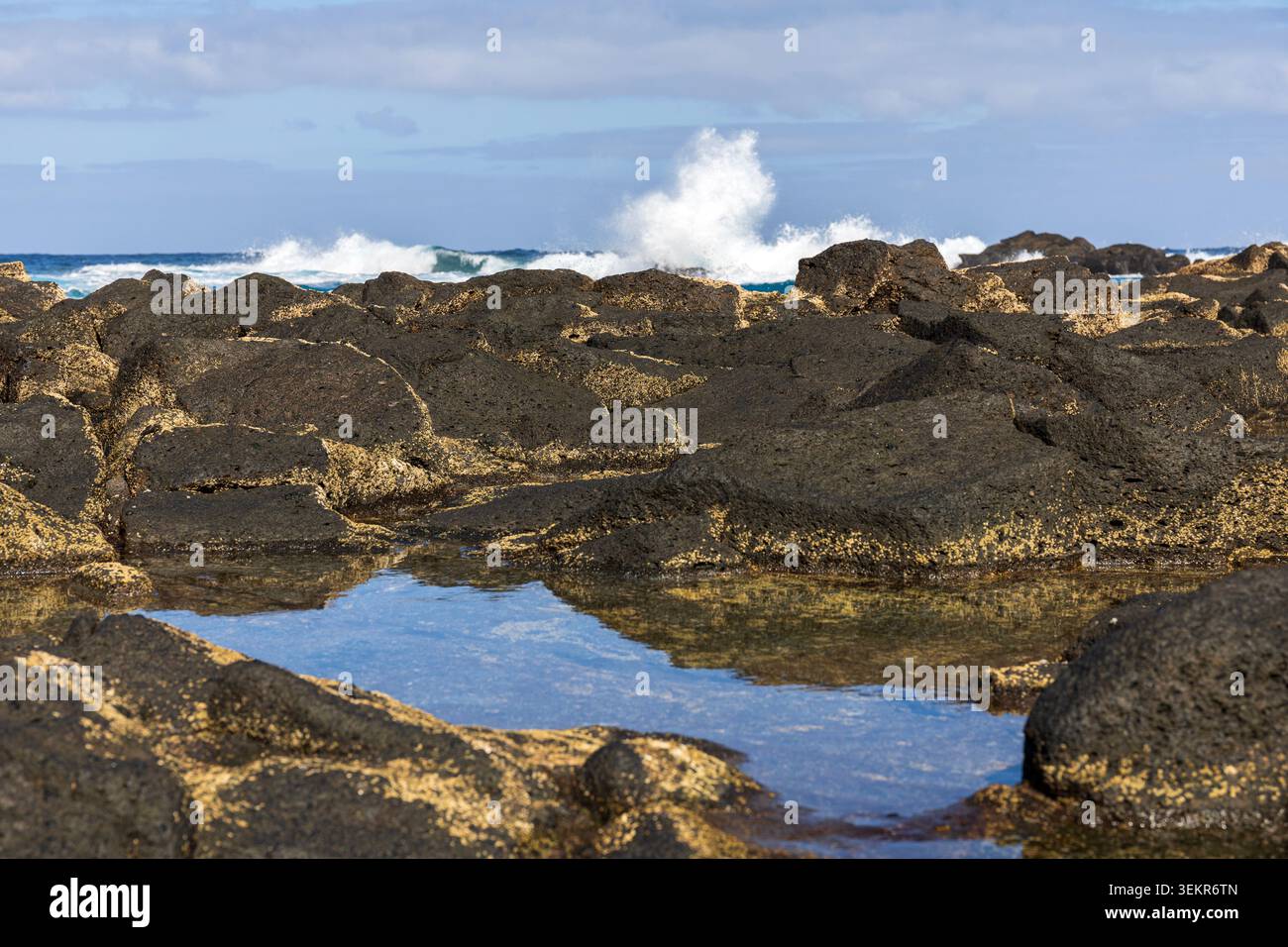 Bassins de marée naturels formés dans la roche volcanique le long de la côte atlantique de Tenerife, îles Canaries, Espagne. Banque D'Images