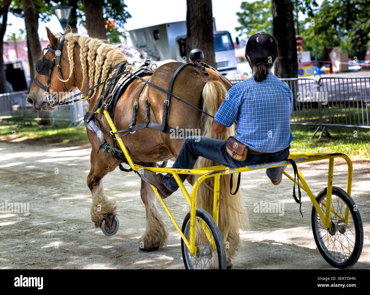 Dijon France 1er juin 2026. Puissants chevaux de trait lourds avec de longues jambes à plumes tirant des charrettes sulky de course avec des pilotes en compétition sur une piste rapide R Banque D'Images
