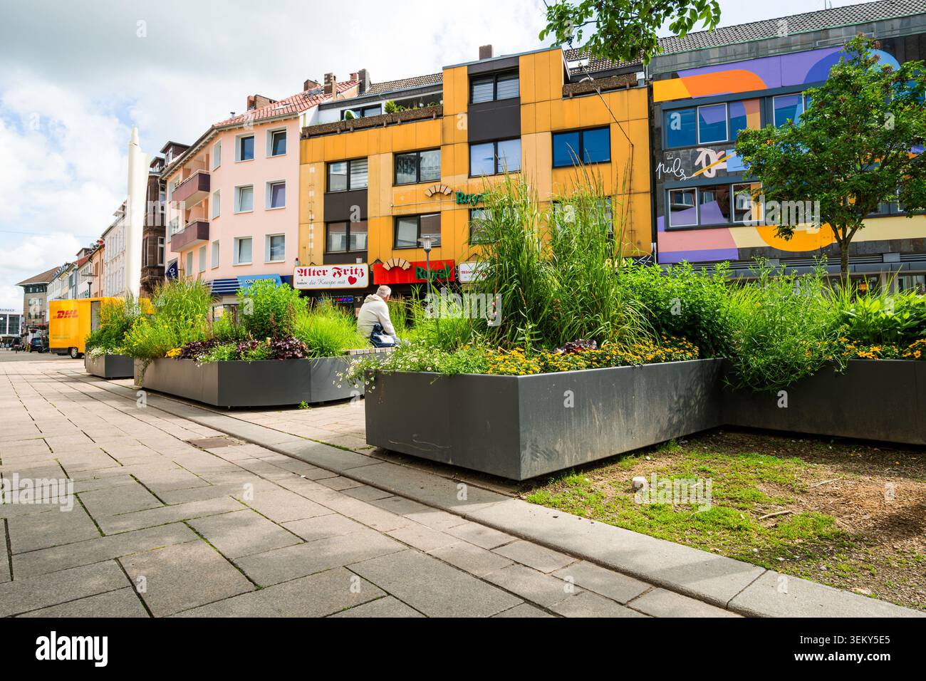 Hildesheim, basse-Saxe, Allemagne, 3 juin 2026 : de grands conteneurs plantés avec des arbres et des herbes ornementales contribuent à la verdure urbaine et au climat A. Banque D'Images