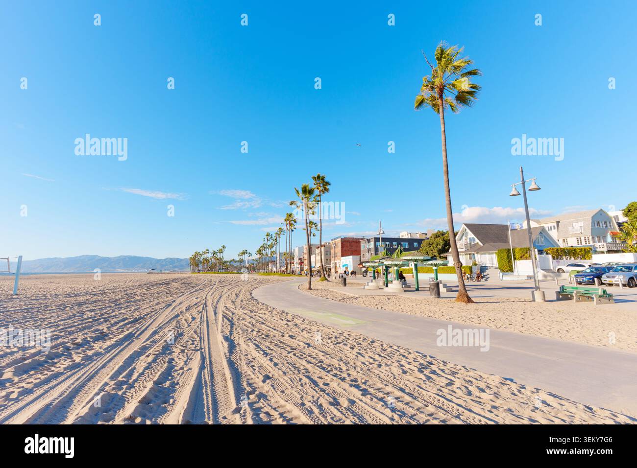 Venice Beach, Californie - 8 janvier 2026 : vue panoramique sur la promenade de Venice Beach en Californie avec de grands palmiers, plage de sable avec véhicule Banque D'Images