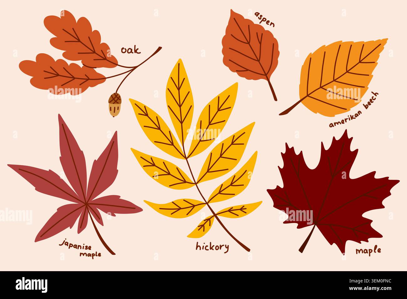 Collection de feuilles d'automne américaines, clip art botanique avec des plantes dessinées à la main et des branches d'arbres en jaune et rouge Illustration de Vecteur