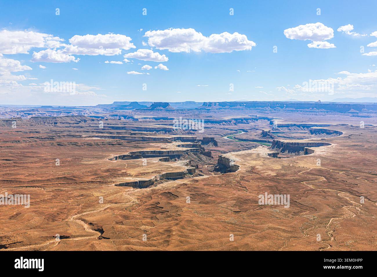 L'immense échelle de Grand View point montrant le labyrinthe de canyons blancs et le sentier lointain de la Green River sous les nuages d'été gonflés. Banque D'Images