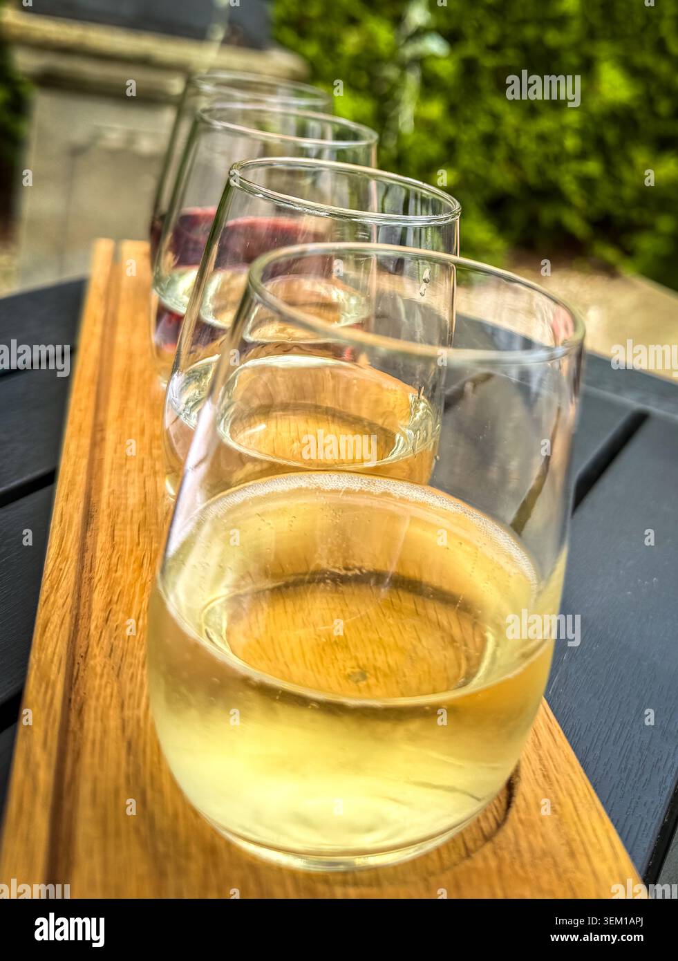 Deux échantillons de vin blanc et deux échantillons de vin rouge servis dans des verres sans pied sur un patio extérieur. Banque D'Images