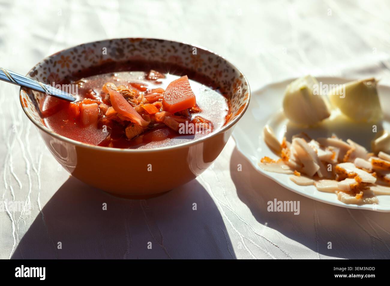 Un bol de soupe maison. Borscht ukrainien, oignons et saindoux. Banque D'Images