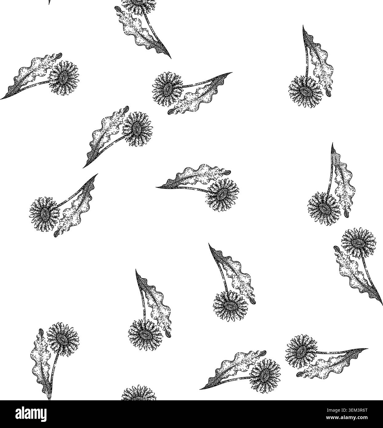 motif sans couture couleur gerbera croquis de marguerite dessiné à la main Illustration de Vecteur