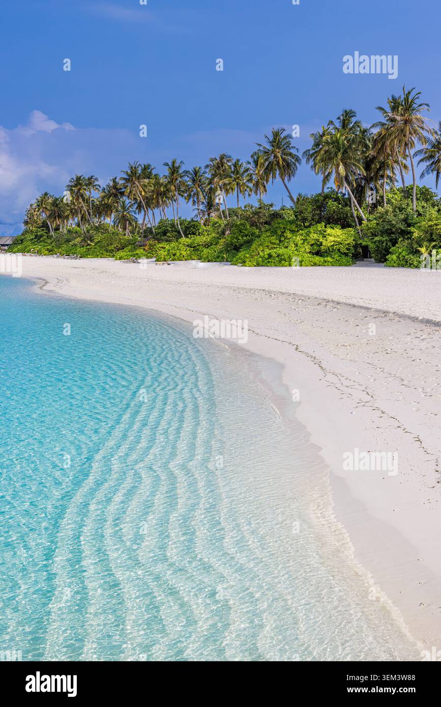 Plage tropicale de sable blanc incurvée rencontrant une mer turquoise claire avec une île de palmiers. Ciel bleu ensoleillé. Vacances d'été en famille, voyage, escapade océanique Banque D'Images