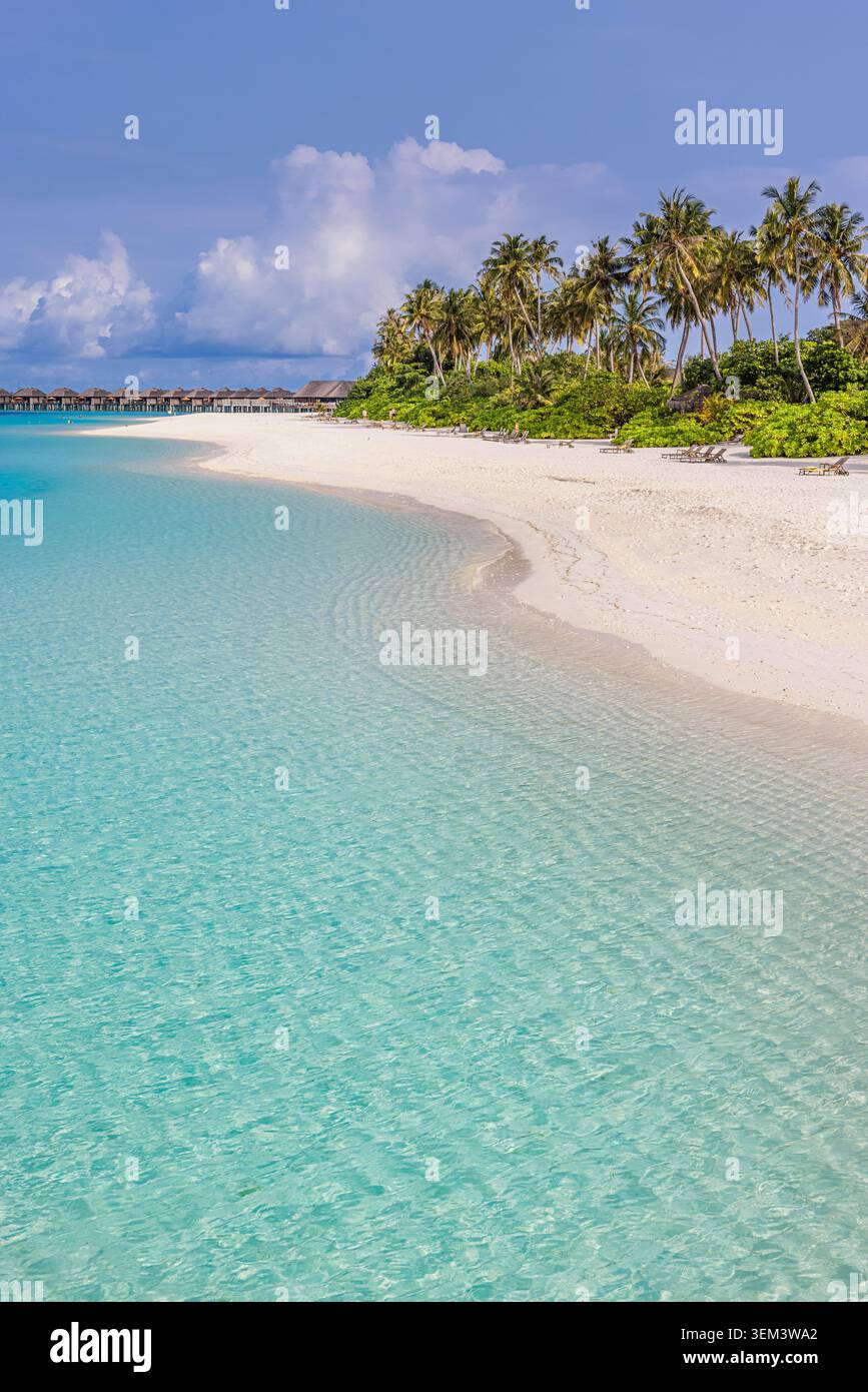 Plage d'une île tropicale avec une mer turquoise, un sable blanc et des palmiers verts. Ciel bleu ensoleillé, paradis. Vacances d'été, voyage, vacances, océan, décoration murale pittoresque Banque D'Images