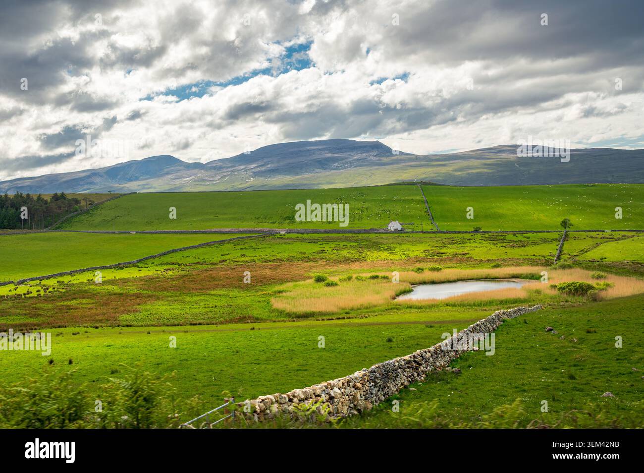 Paysage pastoral le long de la North Coast 500 dans les Highlands, Écosse Banque D'Images