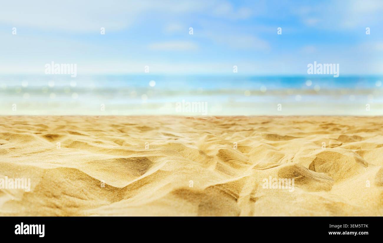 Plage de sable vide en face de la mer d'été avec espace de copie Banque D'Images