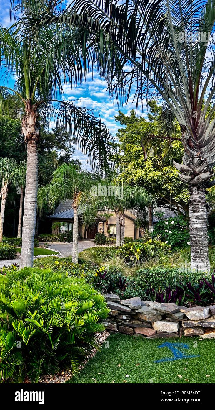 Une belle rue résidentielle haut de gamme en Floride avec des maisons luxueuses et haut de gamme entourées d'un paysage tropical luxuriant. Demeures élégantes - Image de stock capturée avec un smartphone