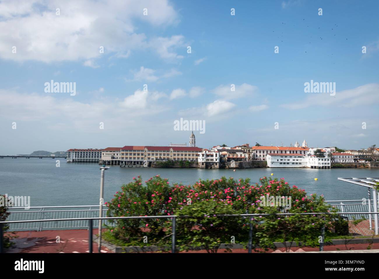 Vue panoramique de Casco Viejo, le quartier historique de Panama City, vu à travers le front de mer par une journée lumineuse. Banque D'Images