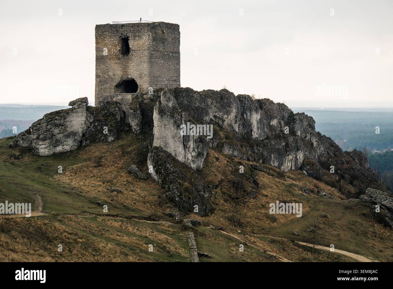Tour de forteresse en pierre altérée au sommet d'un affleurement rocheux accidenté sur une colline herbeuse avec un paysage brumeux lointain sous un ciel couvert représentant l'histoire A. Banque D'Images