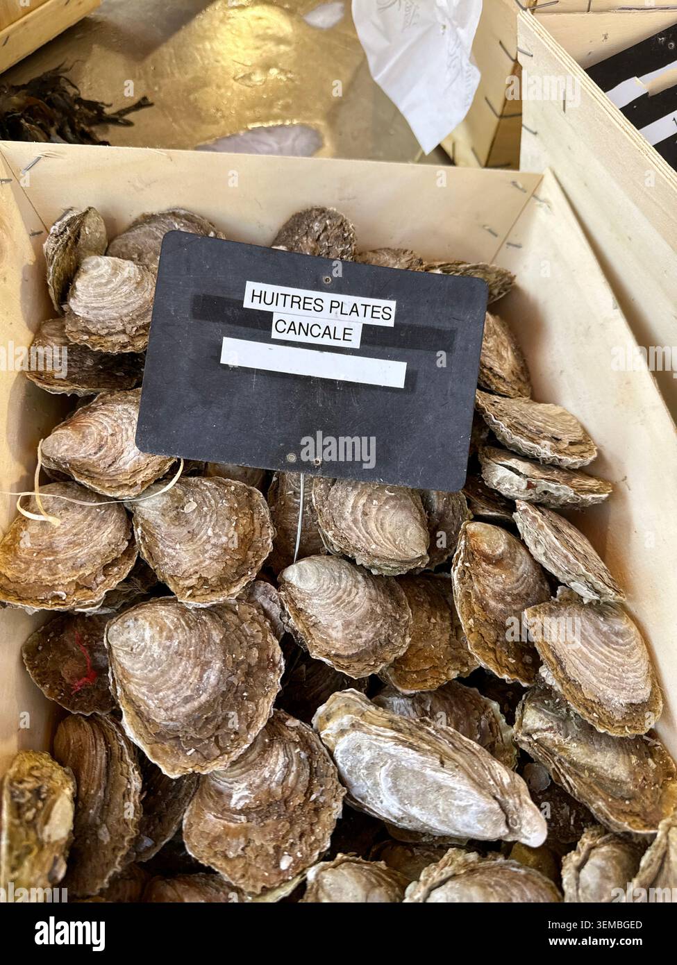 Caisse en bois avec des huîtres plates européennes fraîches à vendre de Cancale, Bretagne, France. Banque D'Images
