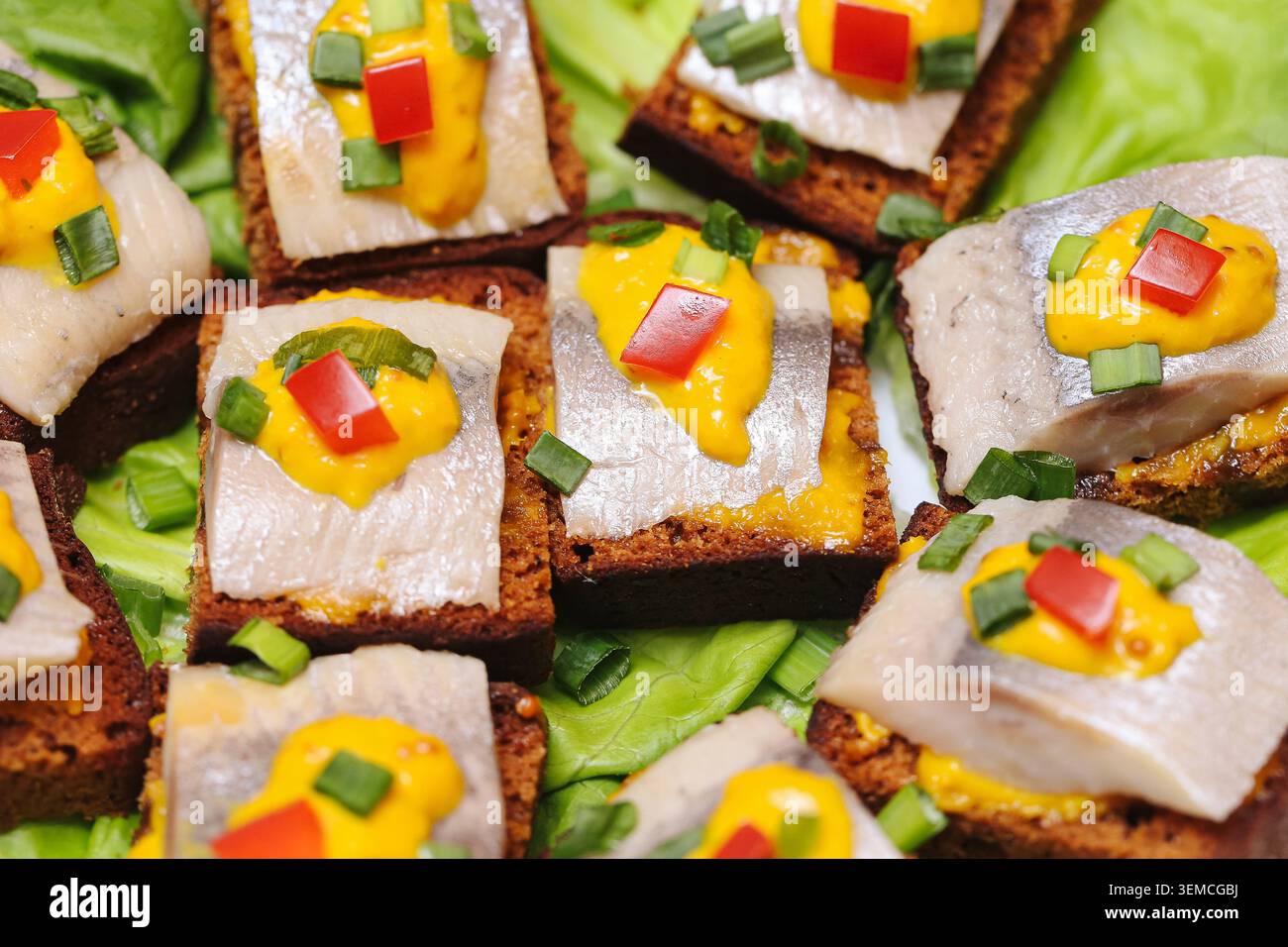 Amuse-gueule au hareng servi sur pain d'épices avec garniture colorée. Fond de collation de fête salée pour la restauration de buffet et les tables de fête. Banque D'Images