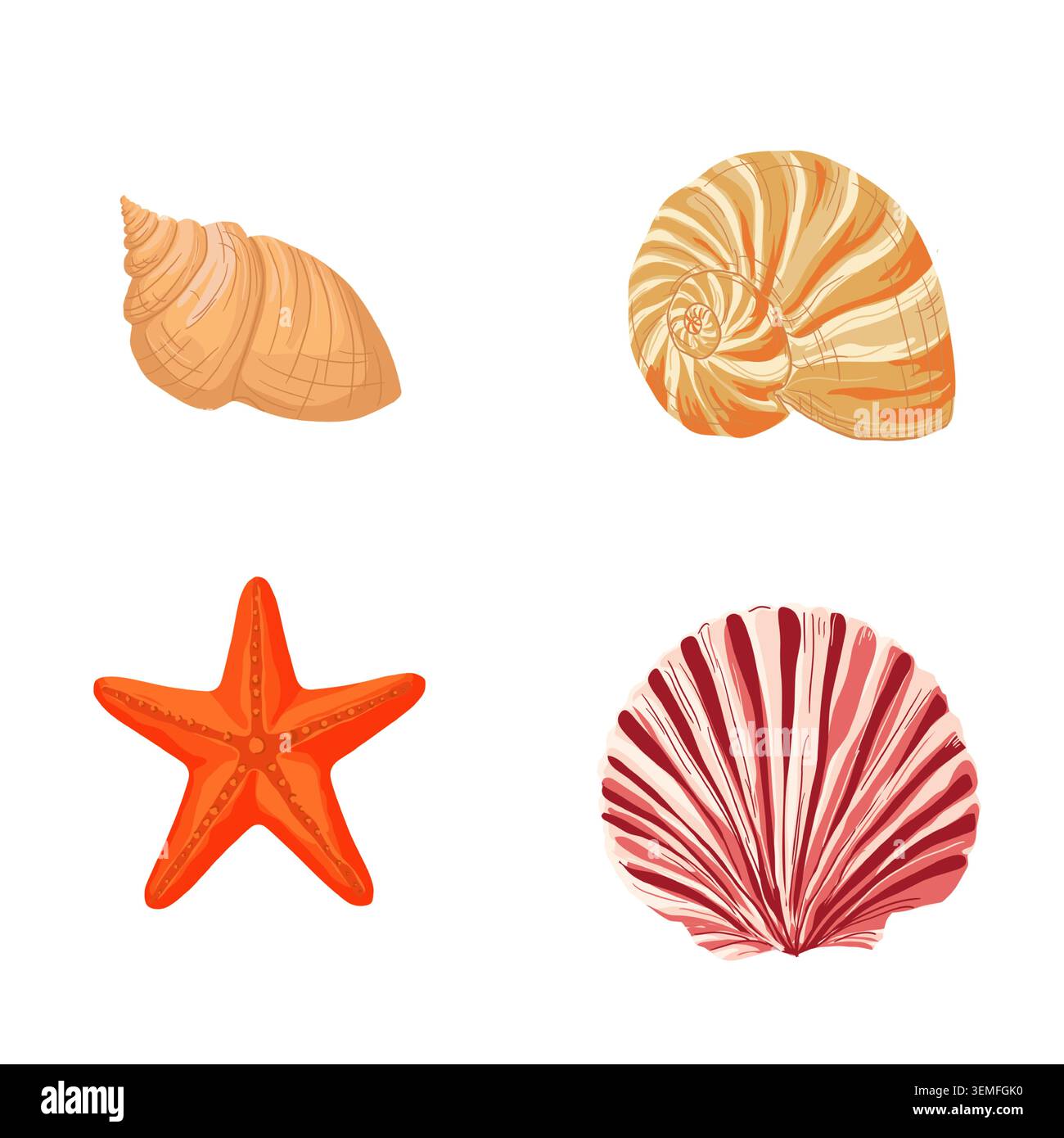 coquille en spirale, nautilus, étoile de mer orange vif et coquille en éventail. Un ensemble de vie marine océanique, isolé sur un fond. Illustration vectorielle plate dans Illustration de Vecteur