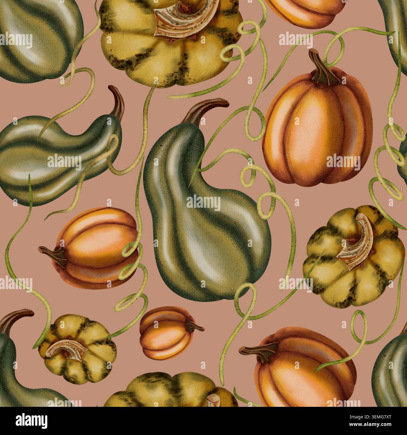Un motif aquarelle sans couture avec diverses citrouilles et gourdes. Motif automne. Nature morte d'automne. Citrouilles d'Halloween. Convient pour les livres, l'emballage, Banque D'Images