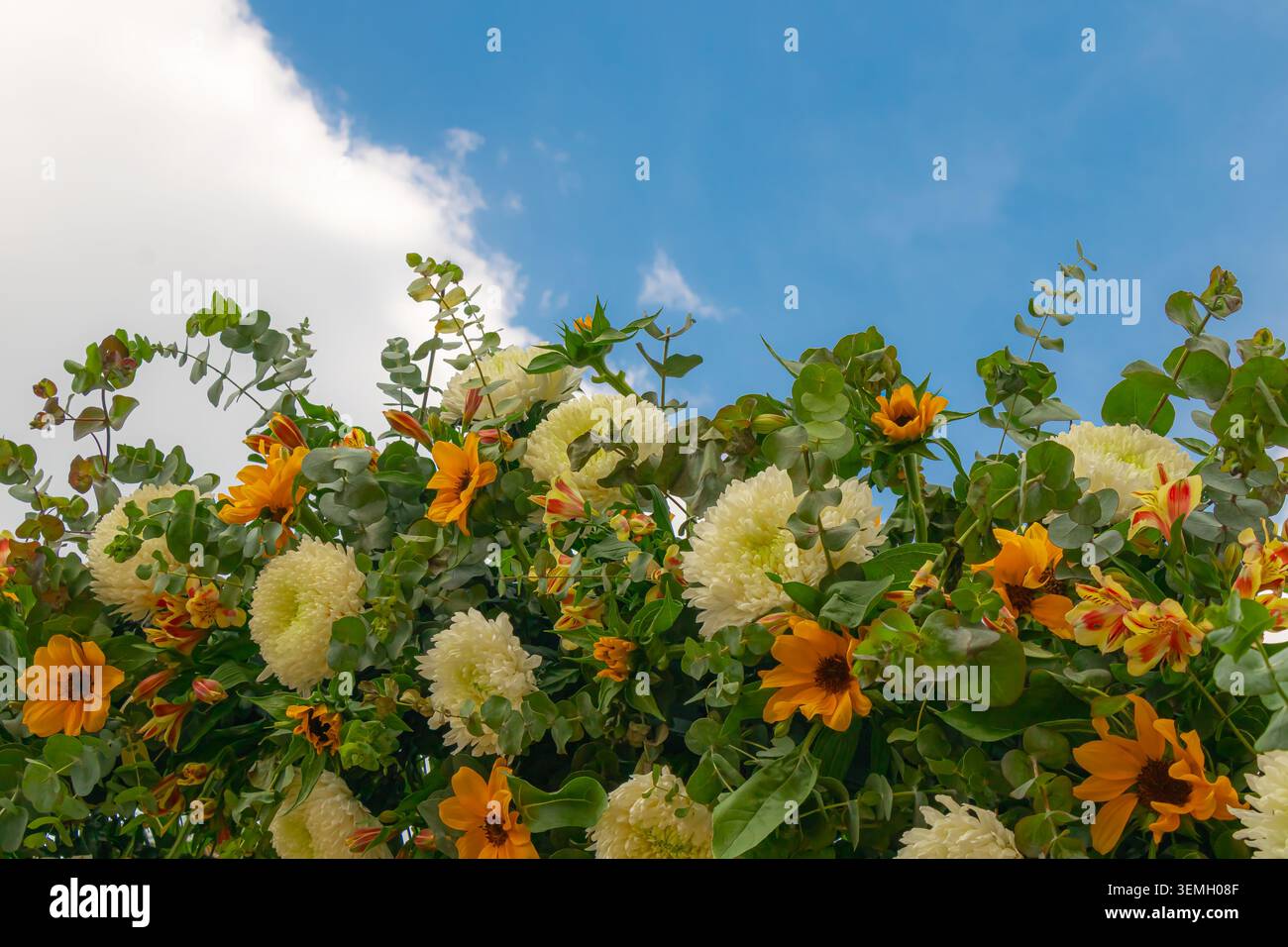 Arrangement floral élégant avec chrysanthèmes blancs, fleurs jaunes et verdure luxuriante dans un ciel bleu vif, idéal pour la célébration et le déc Banque D'Images