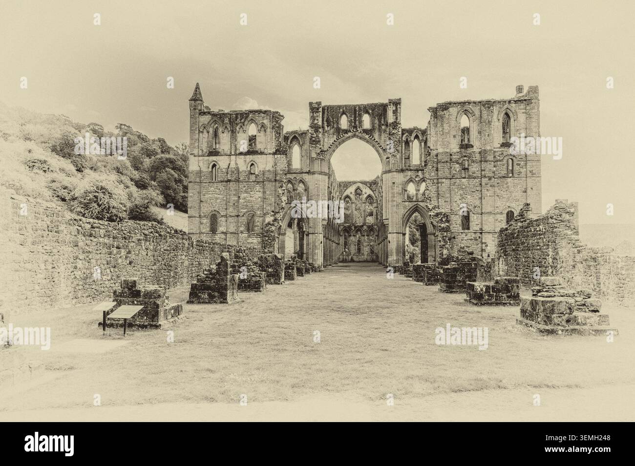 Ce sont les ruines du monastère cistercien du 11-12ème siècle de l'abbaye de Rievaulx dans le village de Rievaulx dans le Yorkshire du Nord Banque D'Images