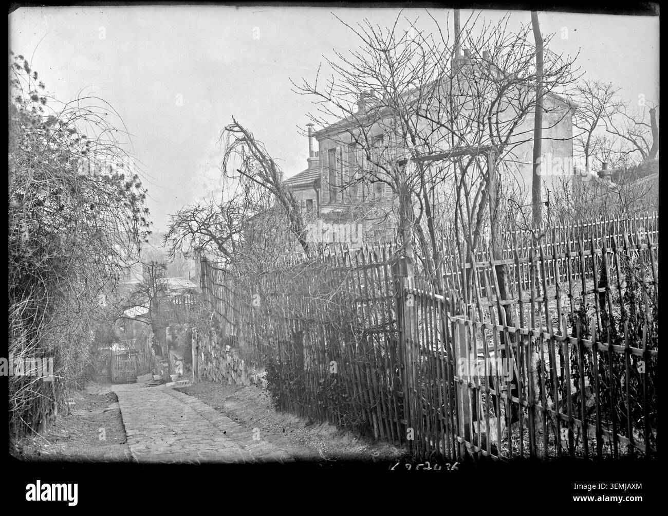 L'Agence Rol a photographié des maisons et des jardins de la rue Norvins à Montmartre en 1905, documentant l'architecture résidentielle et les rues du quartier de Montmartre au début du XXe siècle. Banque D'Images