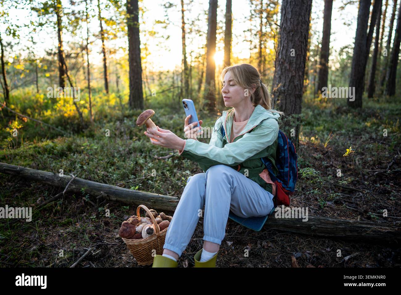 Femme randonneur se reposant, assis sur le rondin dans la forêt, prenant des photos de gros boletus en main sur smartphone. Banque D'Images