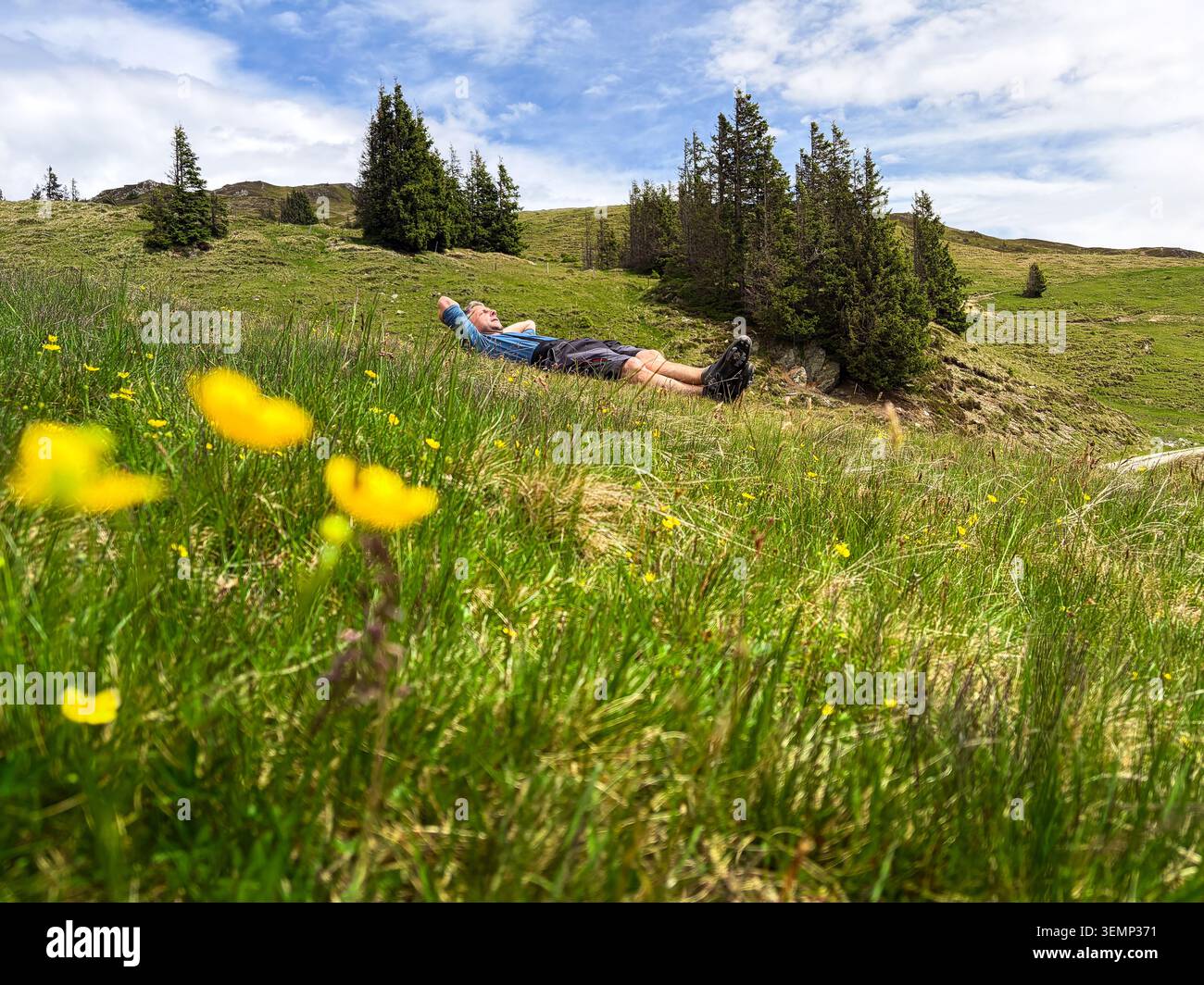 Homme se relaxant sur une prairie de montagne dans les Alpes Banque D'Images