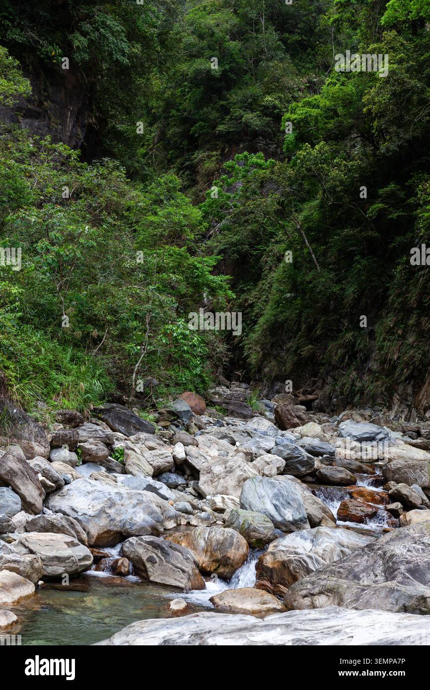 Lit de ruisseau Sanzhanxi dans Taroko gorge. Rivière rocheuse coulant à travers une forêt verdoyante. Vue panoramique sur les montagnes Hualien sur la côte est de Taiwan. Banque D'Images