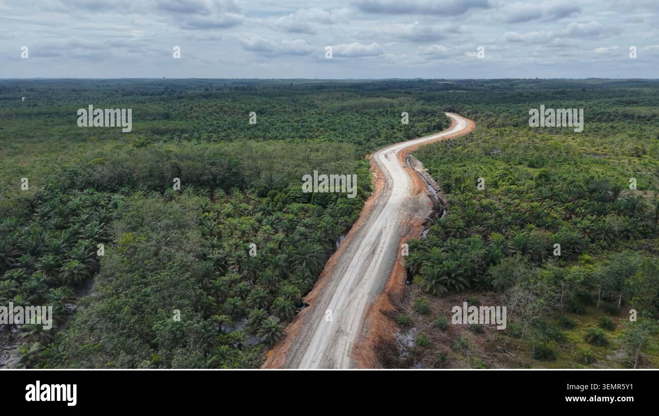 Vue aérienne d'une route sinueuse traversant une plantation d'huile de palme, projet de développement d'infrastructures dans une zone industrielle rurale d'Indonésie. Banque D'Images