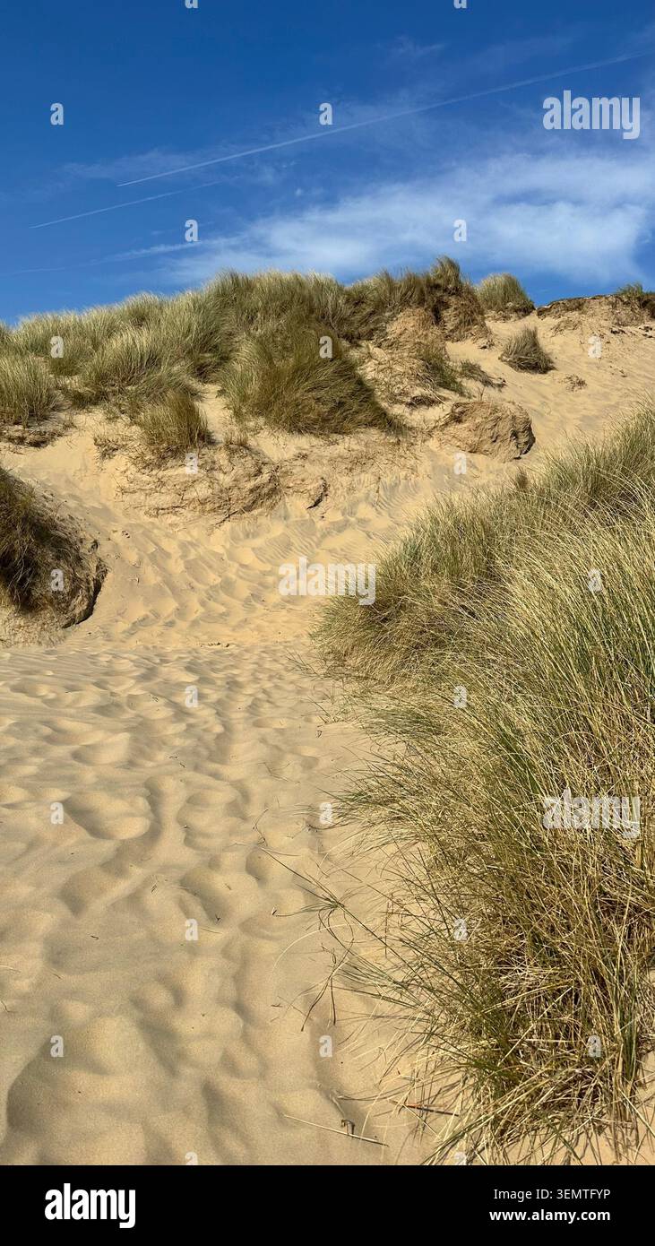 Dunes de sable et marram à Camber Sands près de Rye, East Sussex, Angleterre, par une journée ensoleillée le long de la côte anglaise. Banque D'Images