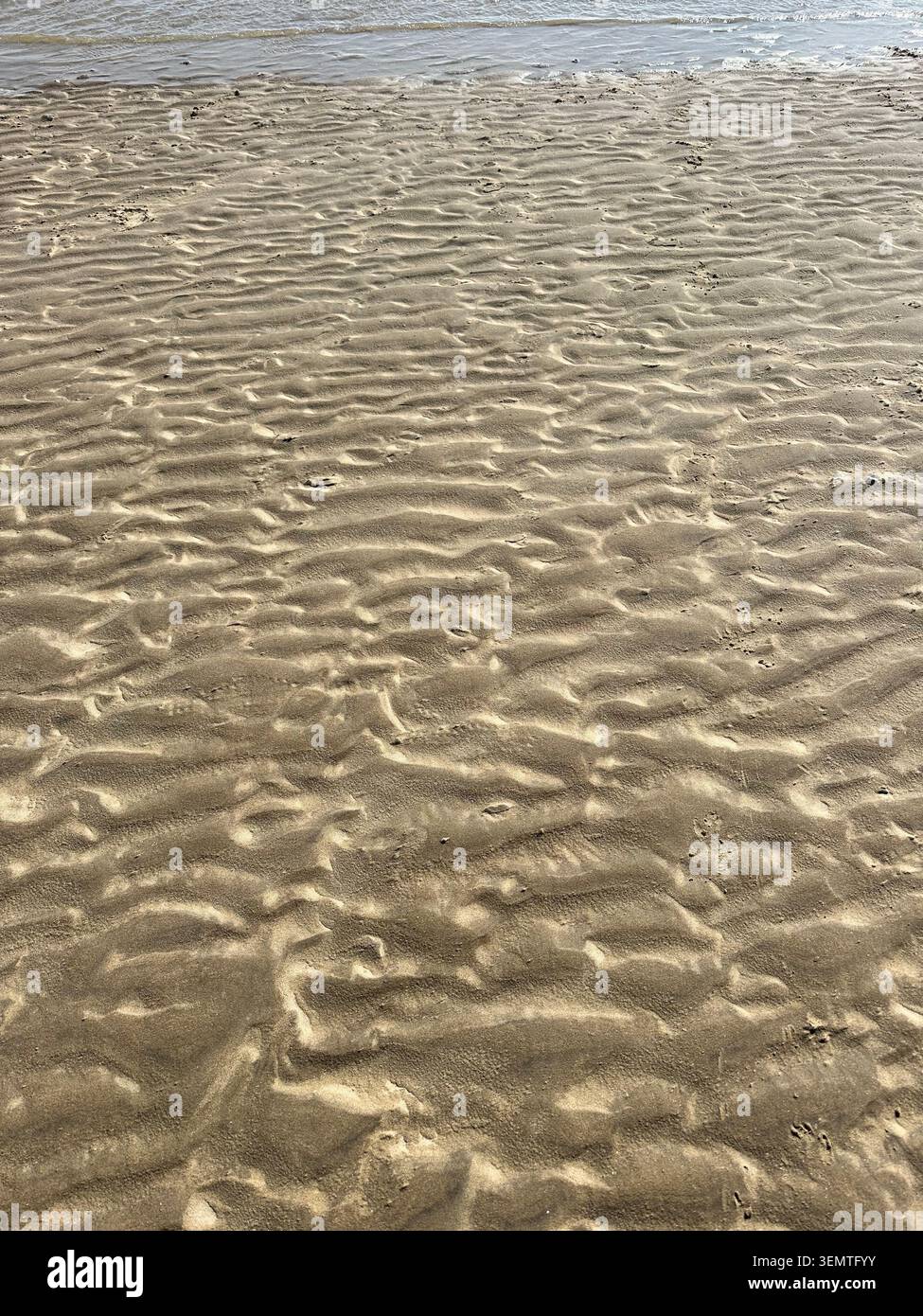 Motifs de sable ondulé sur la plage de Camber Sands près de Rye, East Sussex, Angleterre, montrant des textures de marée naturelles au bord de la mer. Banque D'Images
