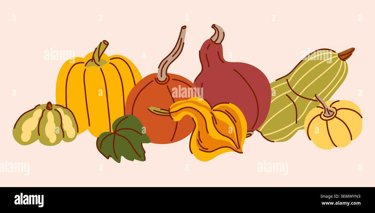Composition linéaire avec des citrouilles décoratives et comestibles variées dans une rangée, récolte d'automne urobaya, ingrédients de Thanksgiving Illustration de Vecteur