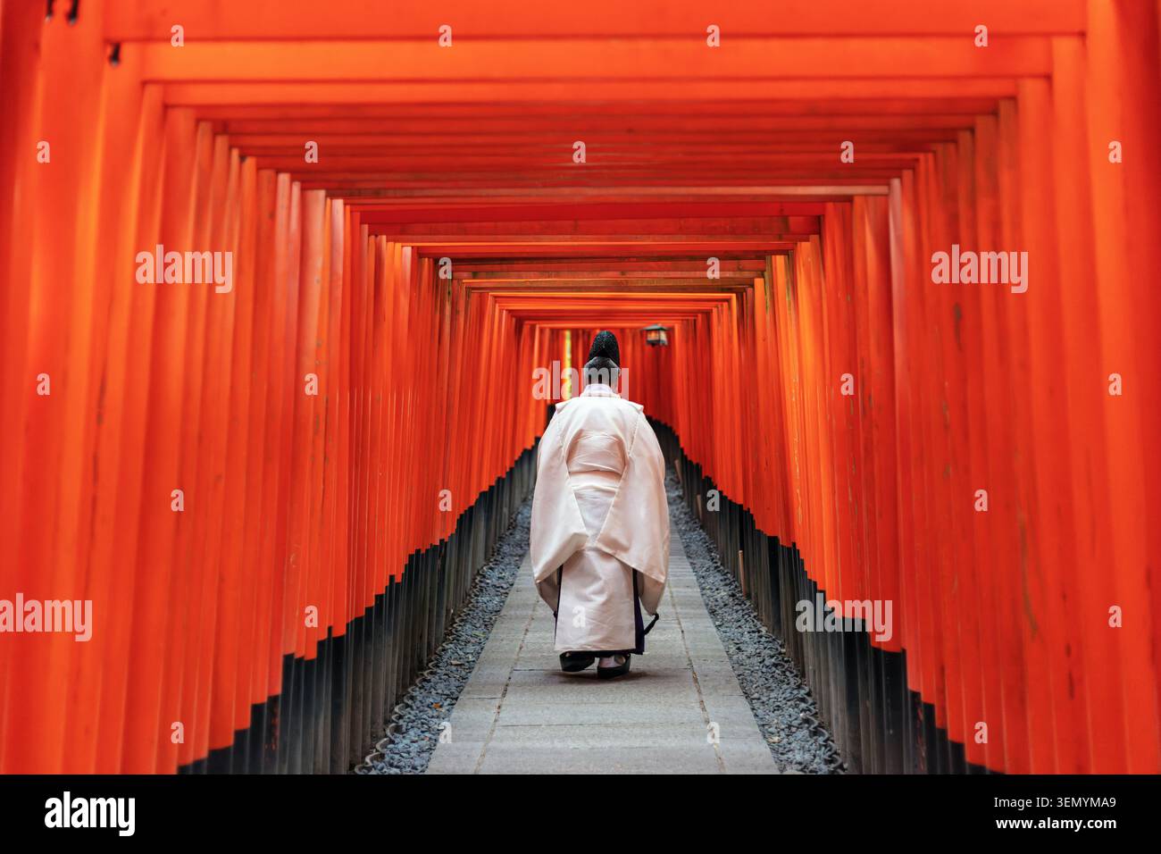 Prêtre shinto vêtu de robes traditionnelles marchant à travers les portes emblématiques vermillon torii au sanctuaire Fushimi Inari à Kyoto, au Japon Banque D'Images