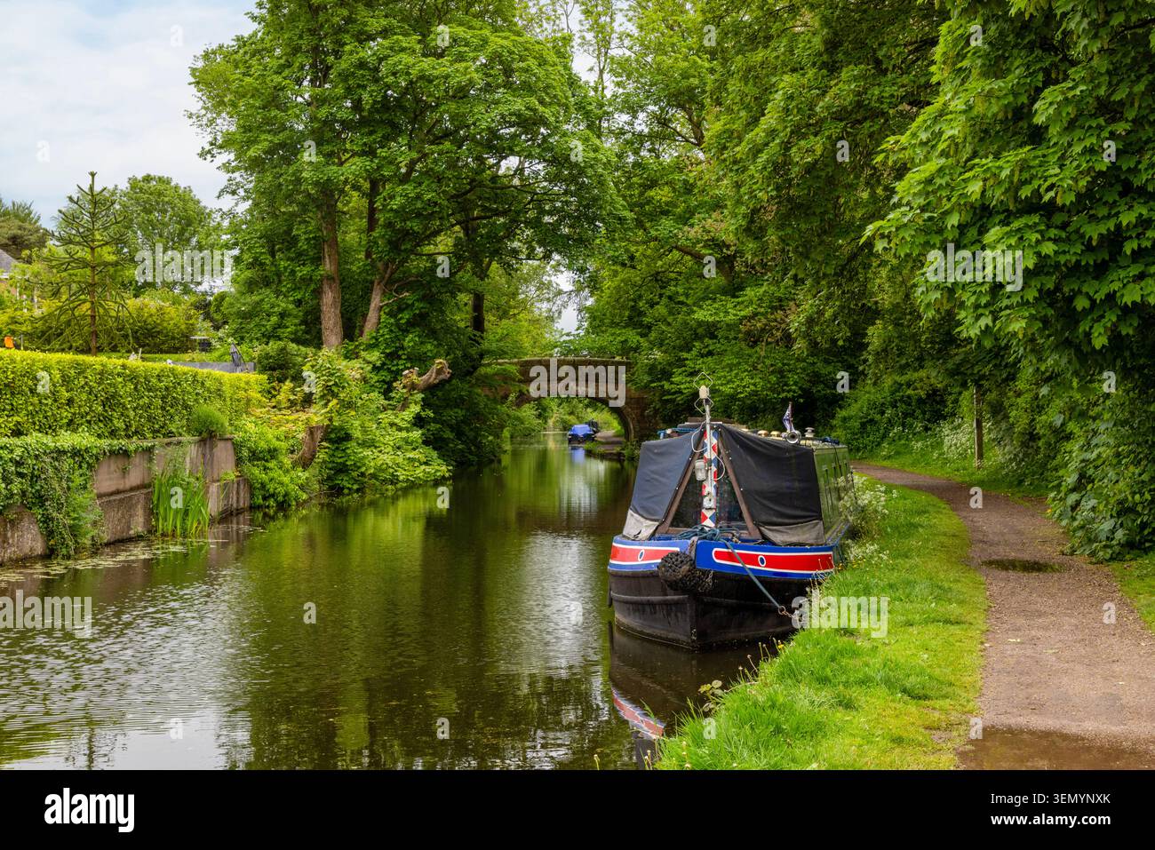 Eaux tranquilles et bateaux étroits amarrés sur le canal historique de Lancaster à Hest Bank dans le Lancashire, au nord-ouest de l'Angleterre. Banque D'Images
