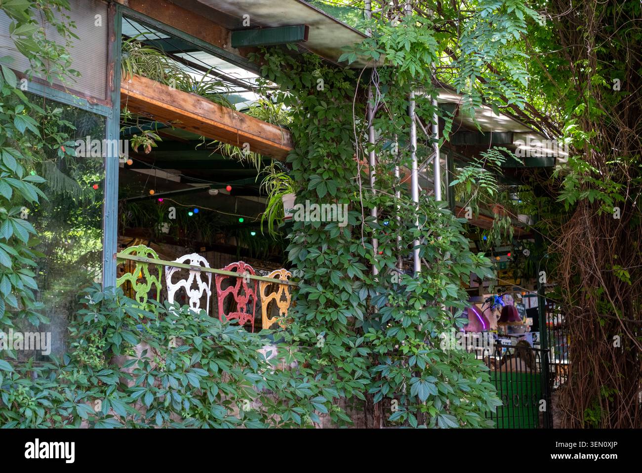 Szimpla Kert, bar en ruine populaire situé dans un ancien bâtiment abandonné de la rue Kazinczy dans le quartier juif historique de Budpaest, en Hongrie. Banque D'Images