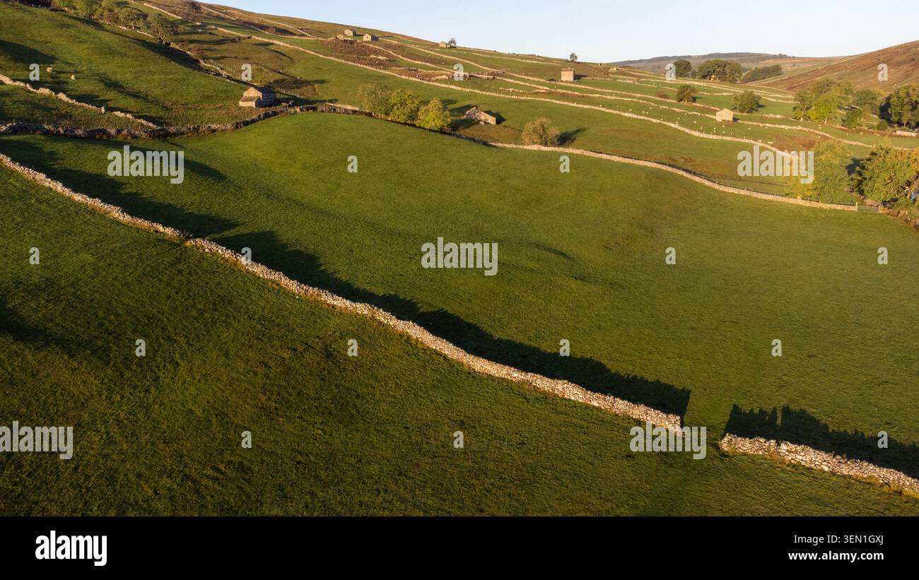 Vue aérienne des champs de Wharfedale et des granges en pierre avec des murs en pierre sèche projetant de longues ombres dans la faible lumière automnale Banque D'Images