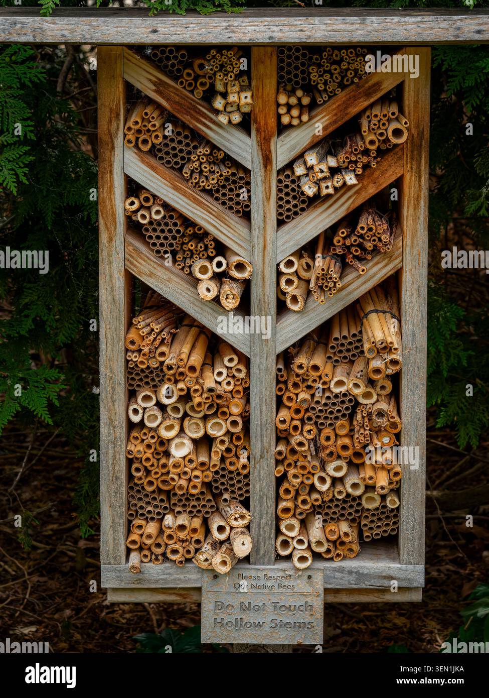 Une maison d'hôtel rustique en bois rempli de tiges de bambou creuses et de tubes pour la nidification des pollinisateurs solitaires indigènes dans un jardin verdoyant extérieur Banque D'Images